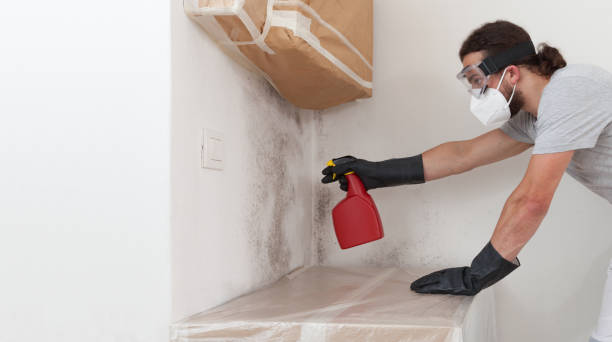 Professional Bathroom Mold Removal technician working in Herndon, VA